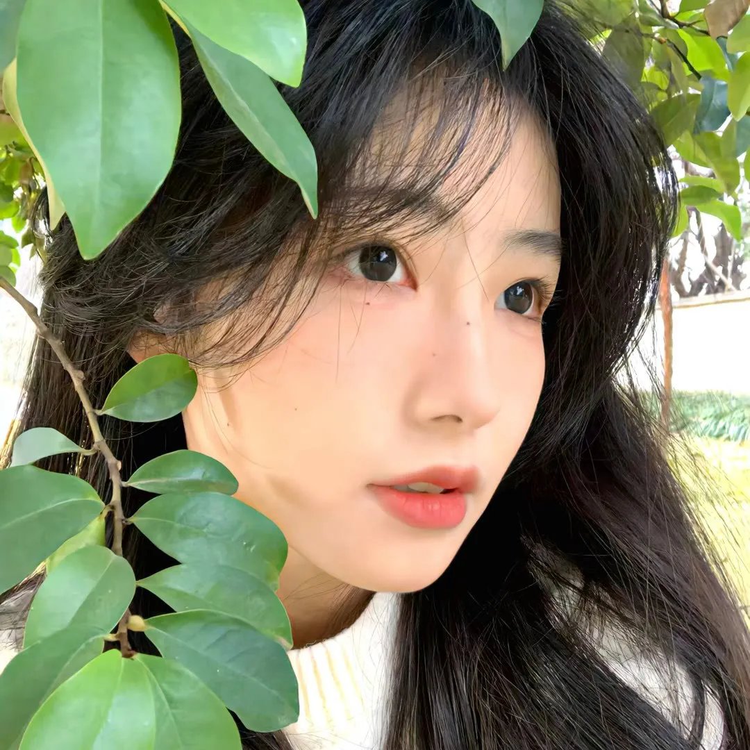 加菲猫的幸福生活第三季