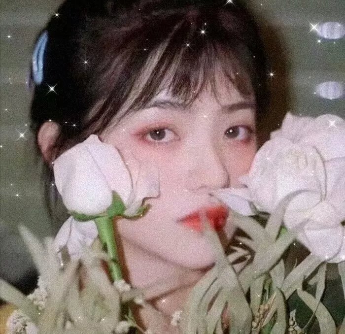 泰山:死寂