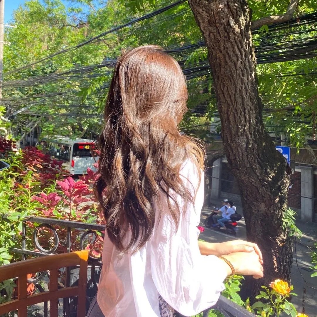 秋蝉